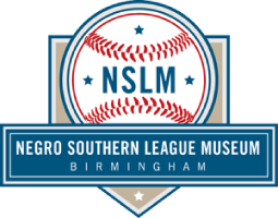 southern negro league